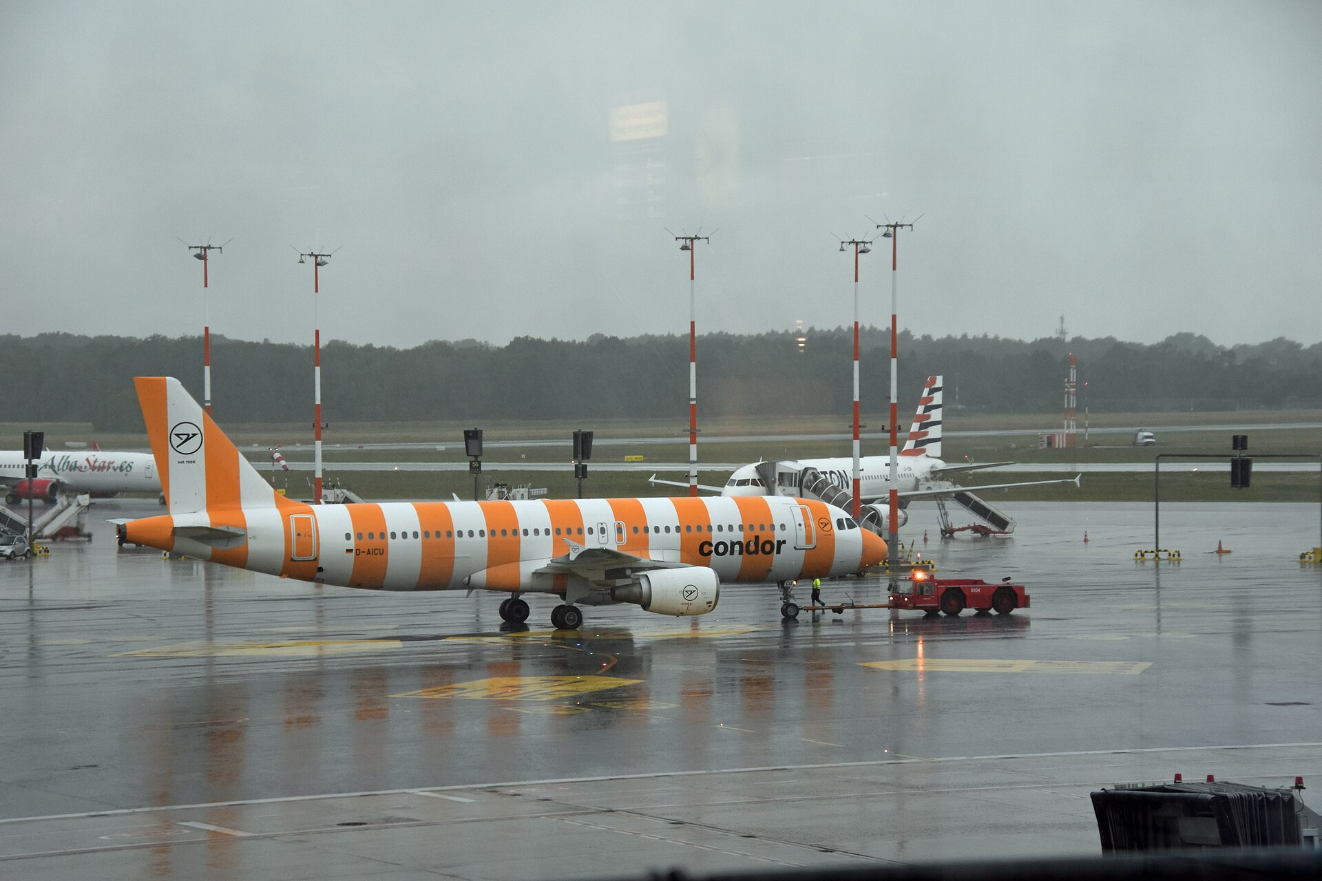 Condor 3