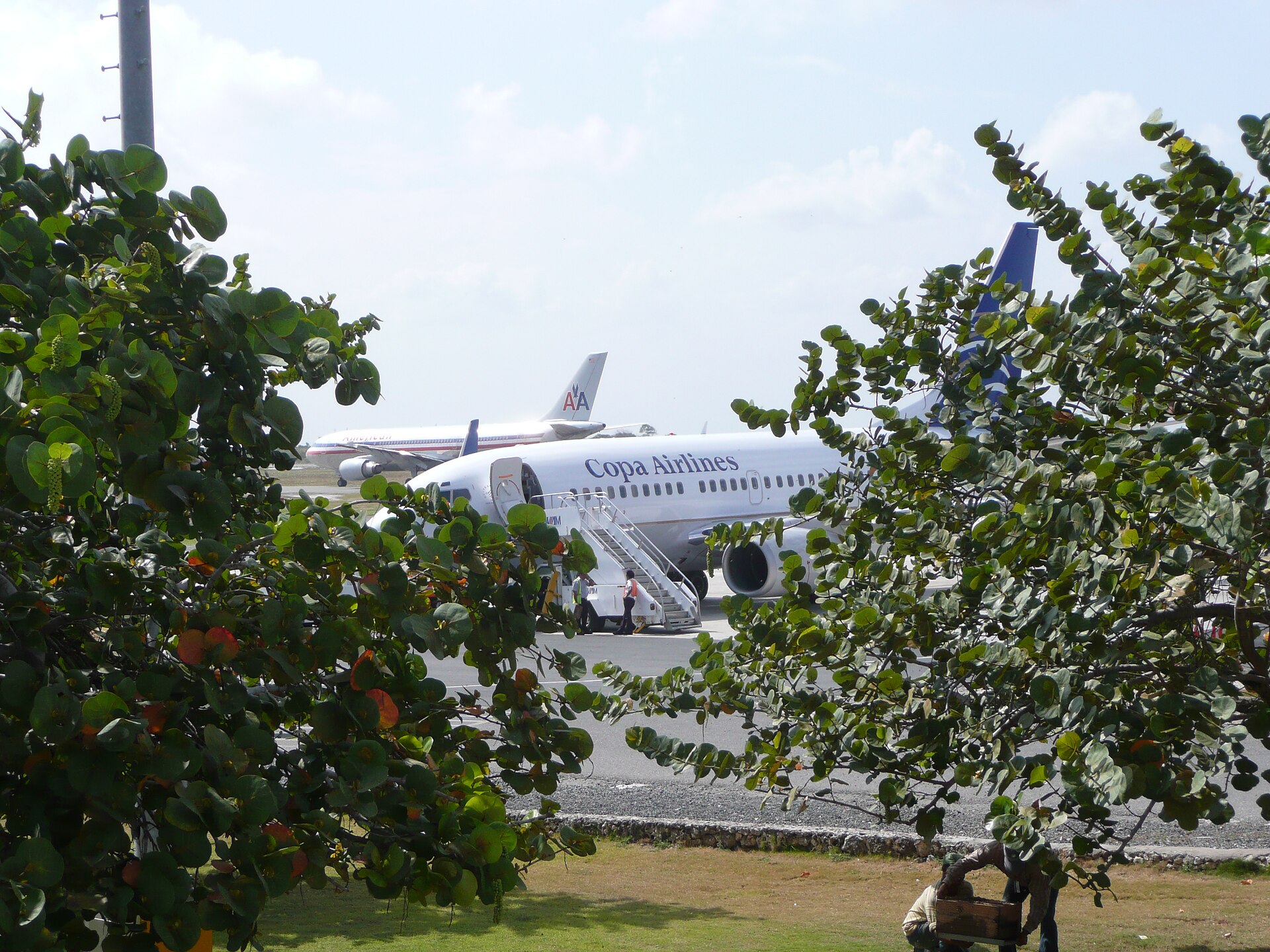 Copa Airlines 3