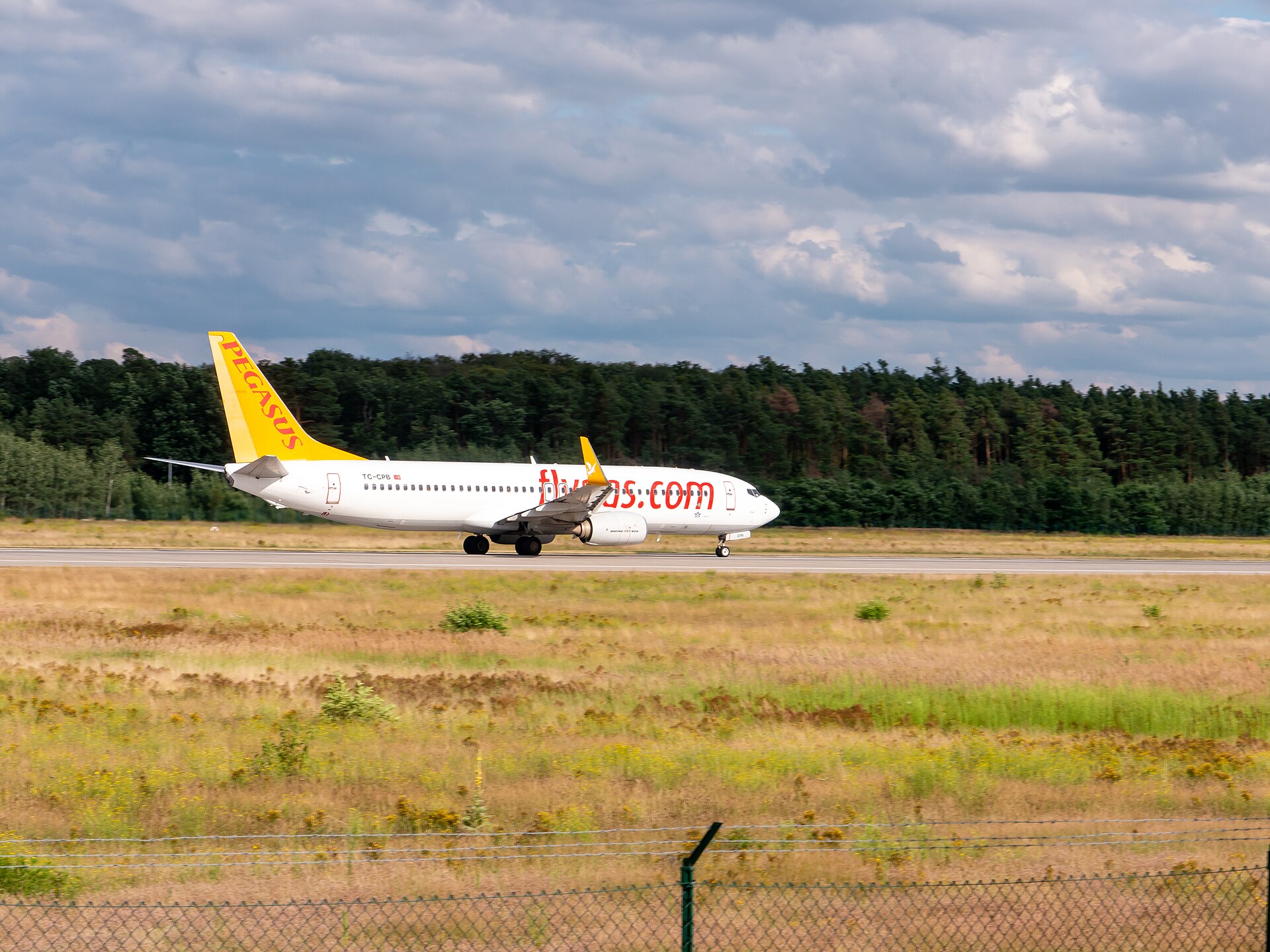 Pegasus Airlines 2