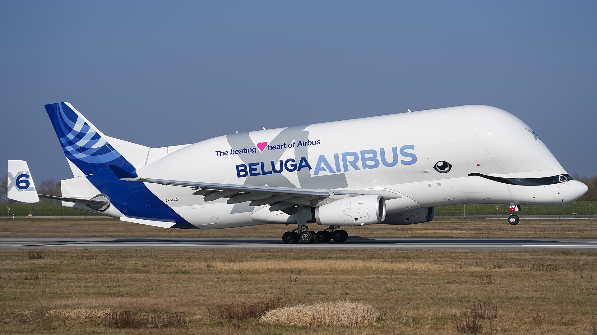 Airbus BelugaXL 2