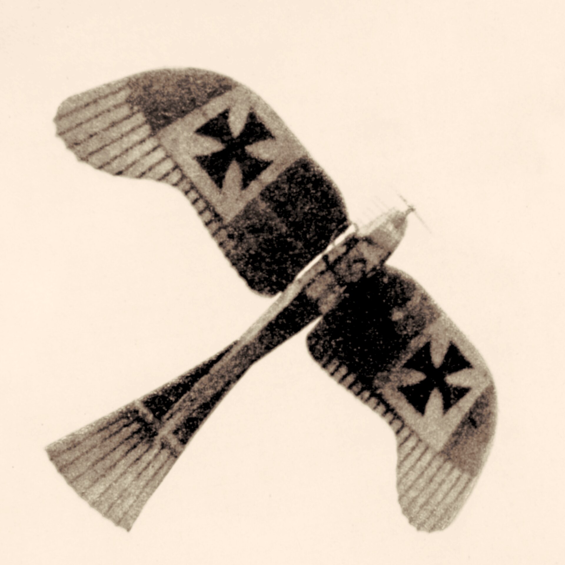 Etrich Taube